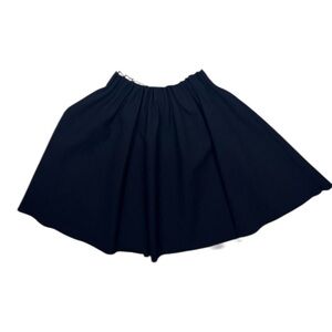 Zara Flared Skirt Elastic Waist Pleated Black- S